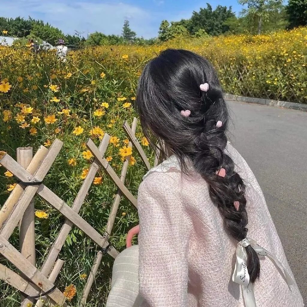妙警贼探第二季